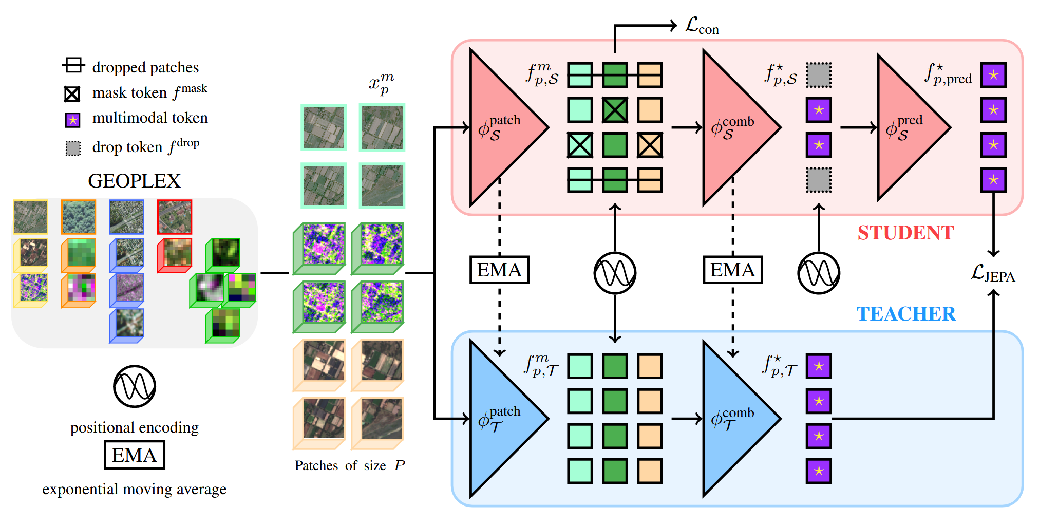 RS Domain Adoption of I-JEPA style