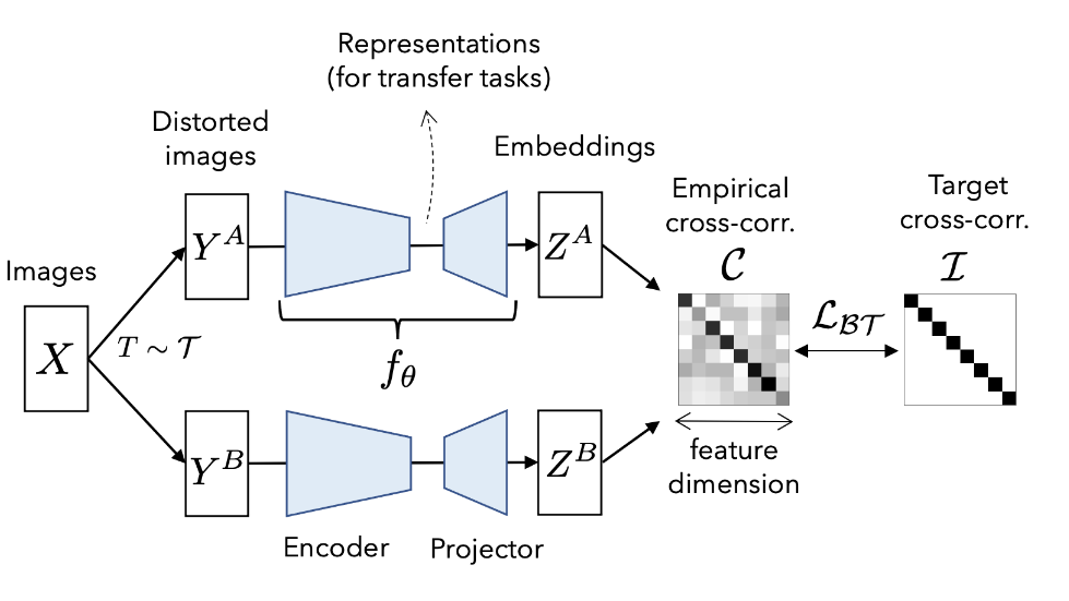 General Domain Barlow Twins