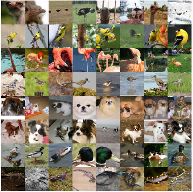 IDDPM Generated Samples