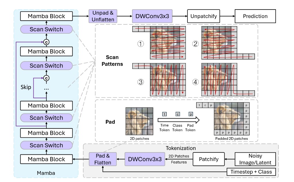 DiM architecture overview