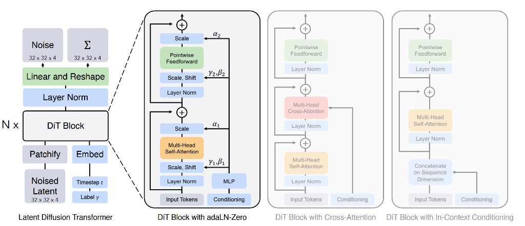 Diffusion Transformer architecture