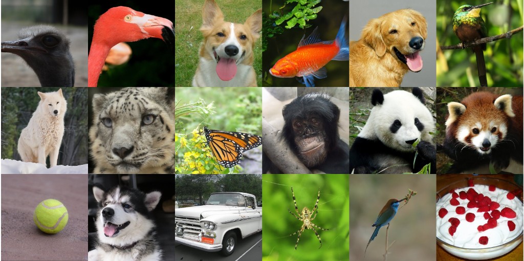 ADM ImageNet 512 samples