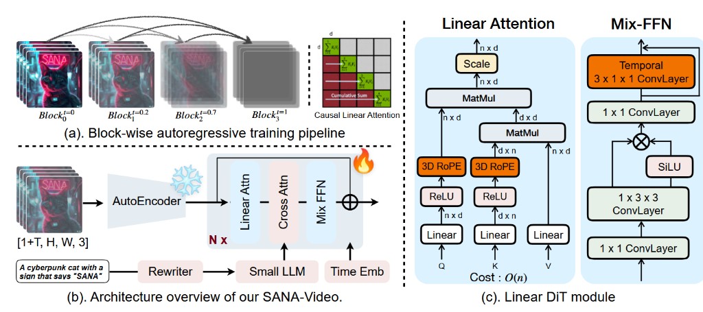 SANA-Video architecture